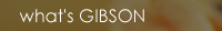 what's gibson