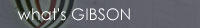 what's gibson