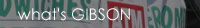 what's gibson